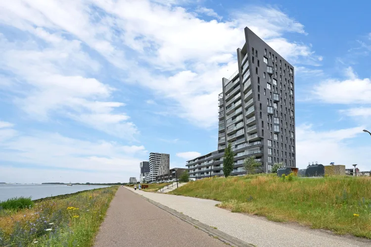 Elbe 46
