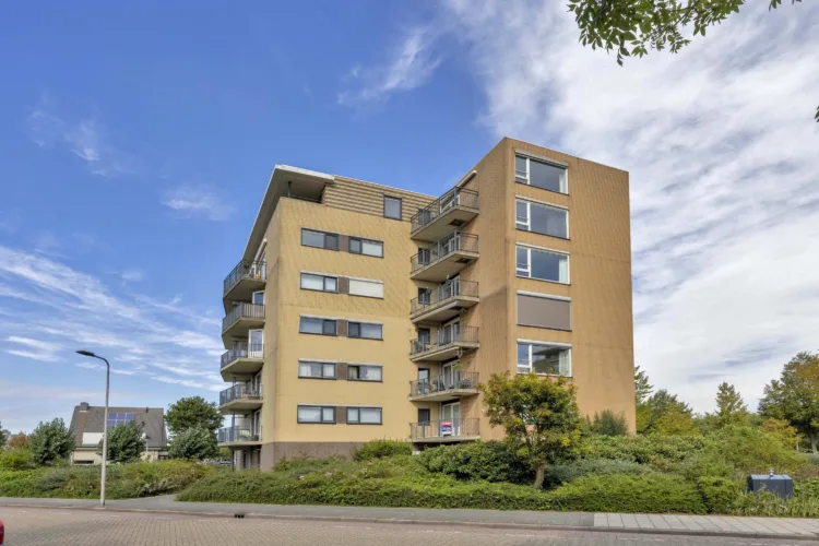 Zwanebloem 28, DEN HOORN